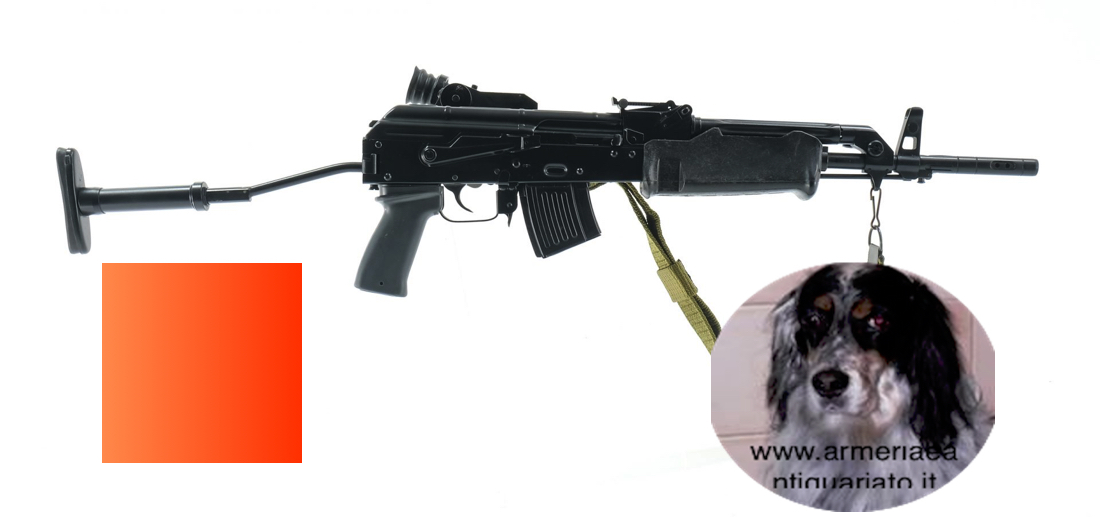 Kalashnikov Feg amp 69